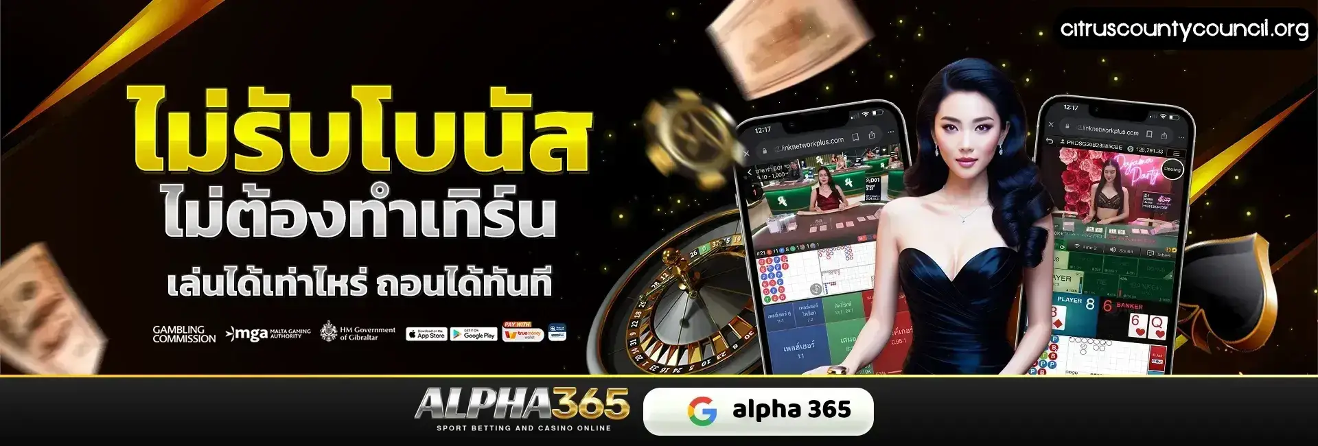 alpha365 login